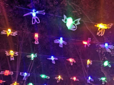 Installation lumineuse de Gazouillis