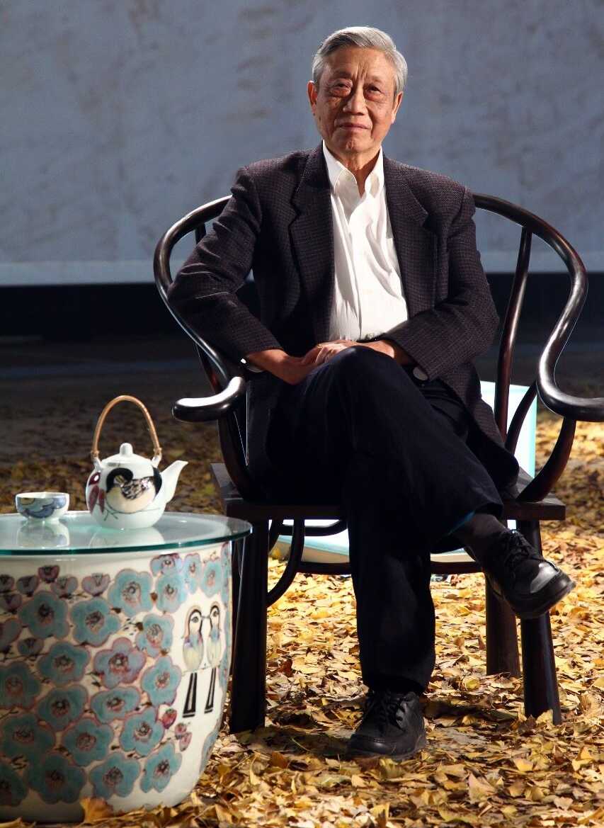 Chen Jialing portrait