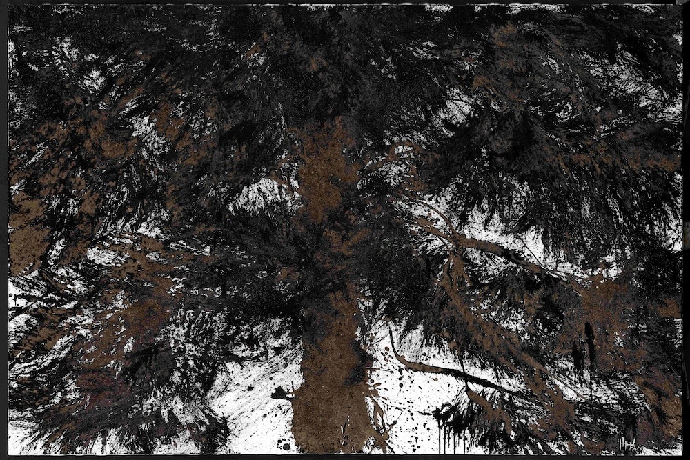 Pierre-Luc Poujol arbre noir