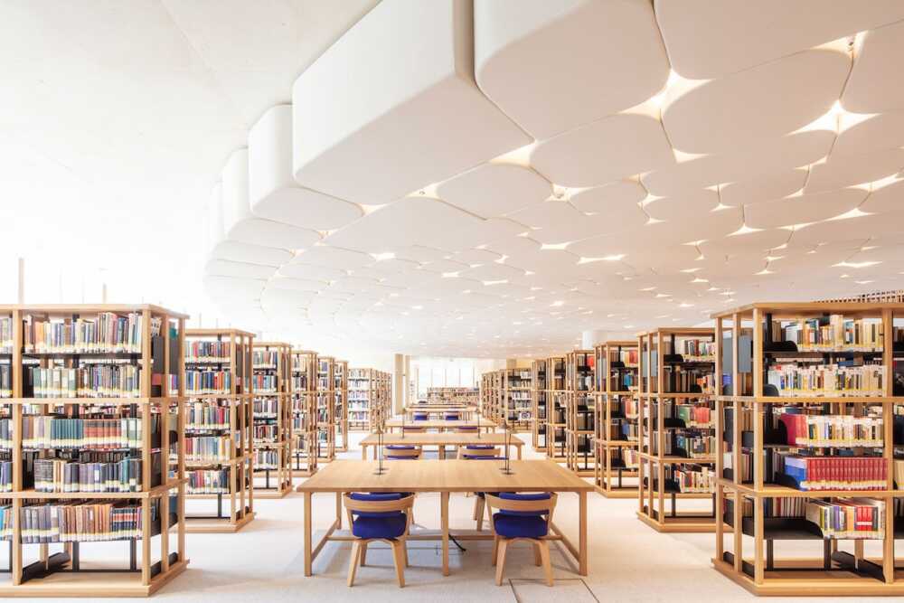 Bibliothèque rayons