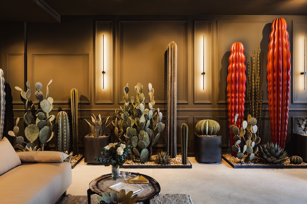 Cactus collection