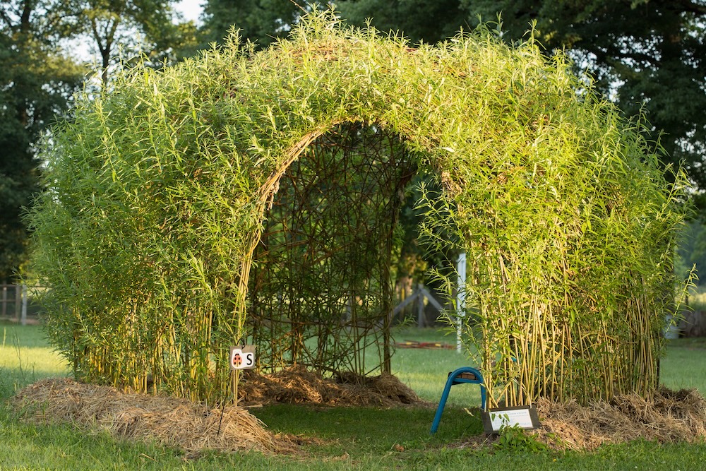 Les Jardins de Colette cachette