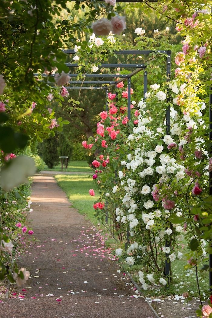 Les Jardins de Colette roseraie