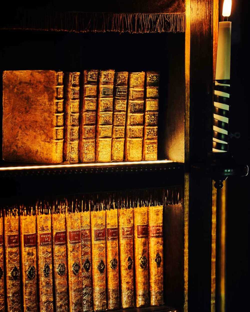 Château Louise de La Vallière bibliothèque
