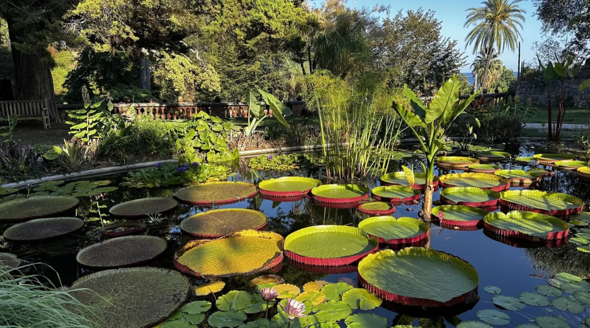 À Menton, le jardin botanique Val Rahmeh fête son 150e anniversaire