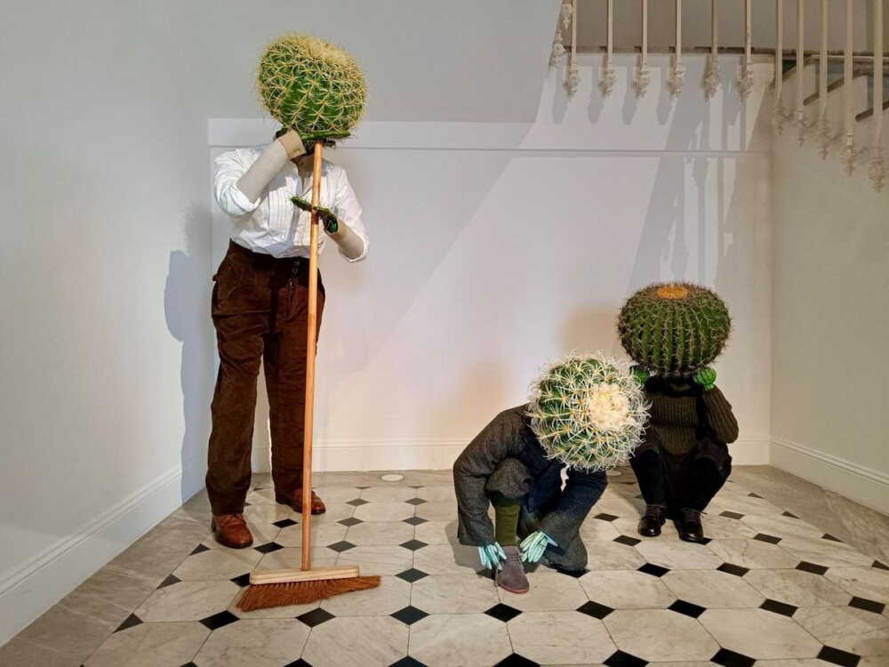 Cactus installation