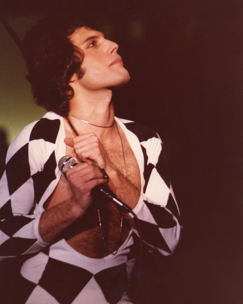 Freddie Mercury