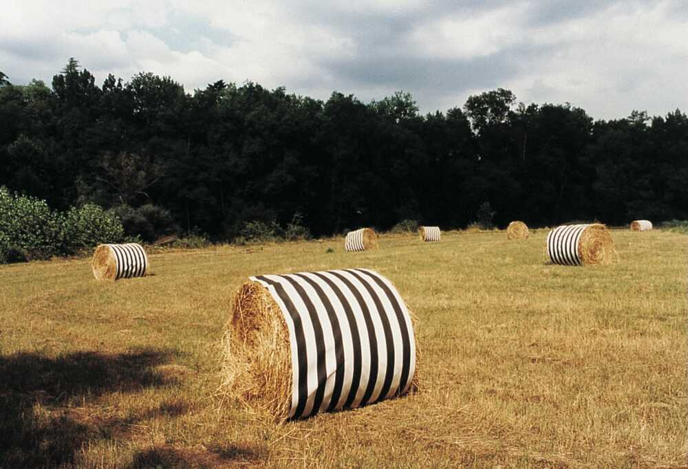 Daniel Buren meules de foin