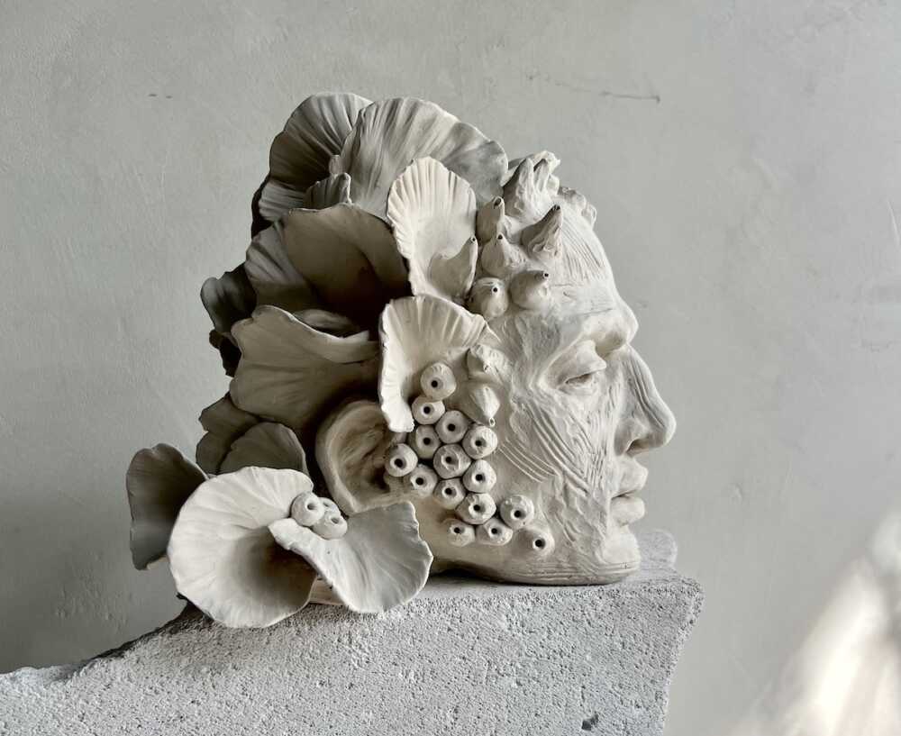 Cyril Paillot têtes
