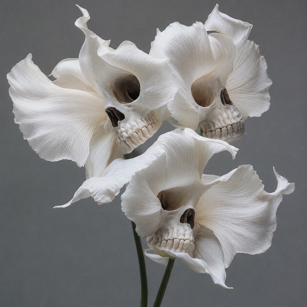Rankin fleurs
