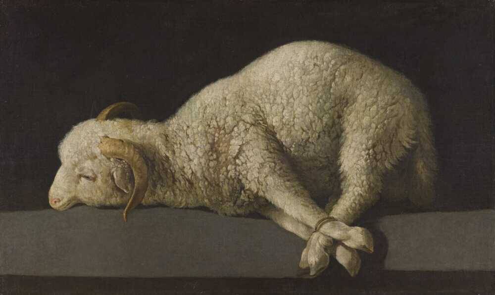 Zurbarán agneau